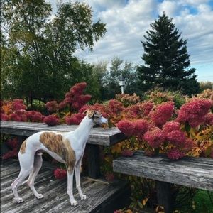 Meet your Posher, Margot